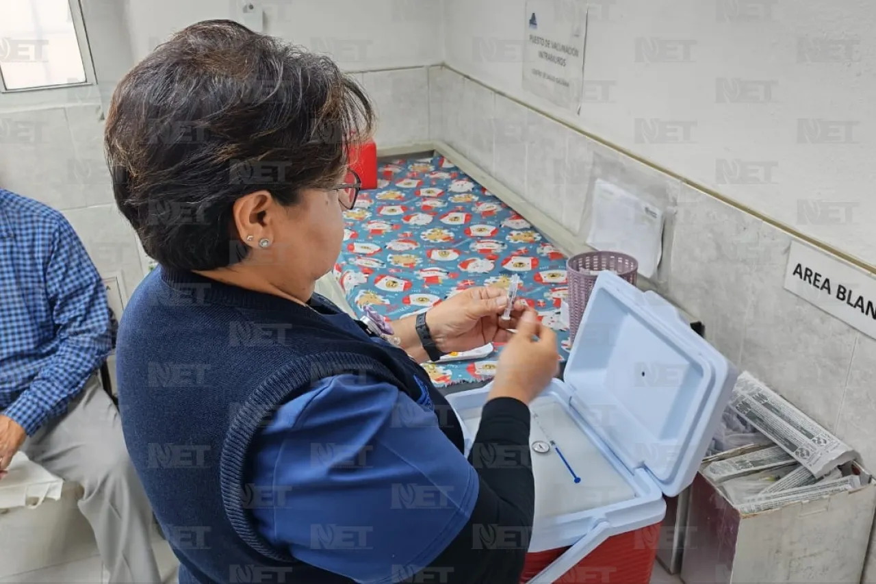 Jazmín Ibarra Trejo