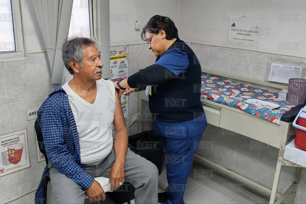 Jazmín Ibarra Trejo