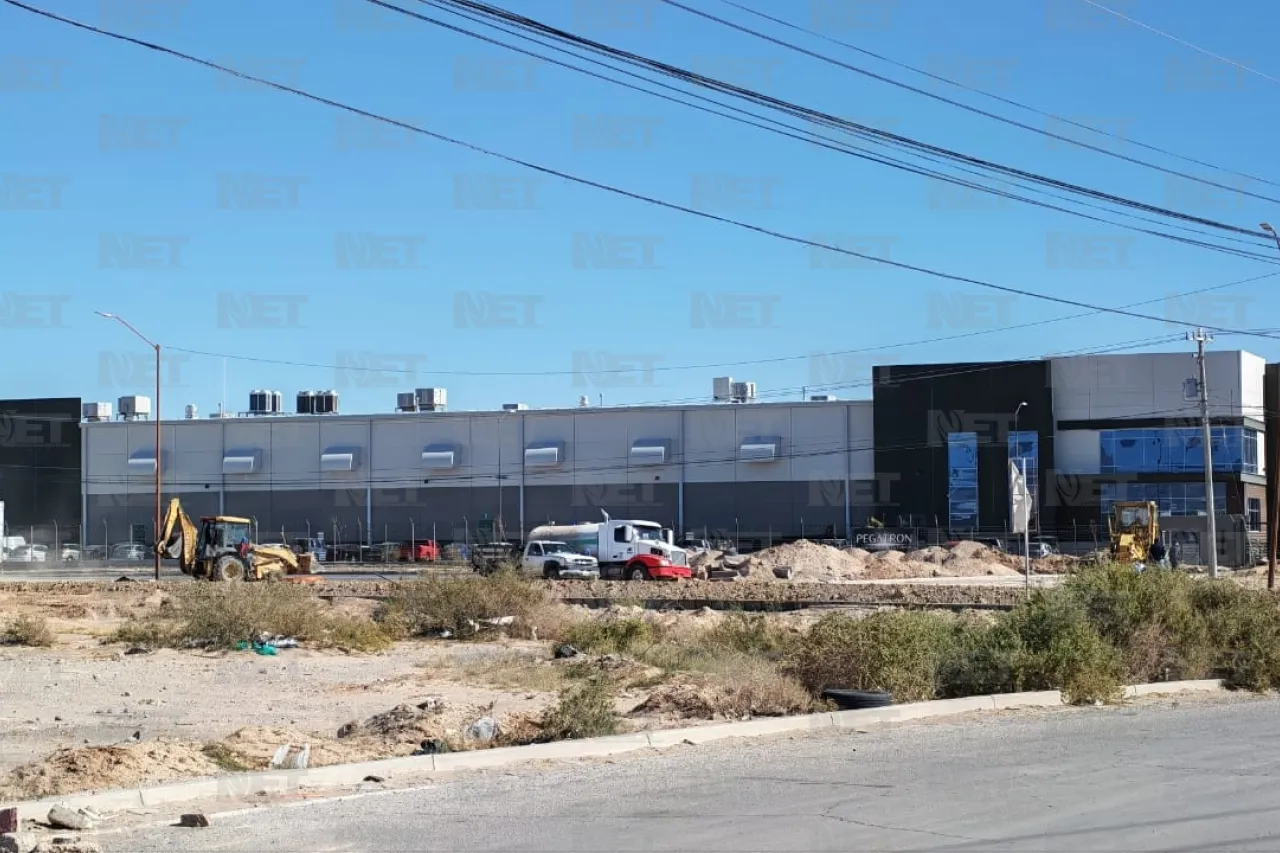 Jazmín Ibarra Trejo