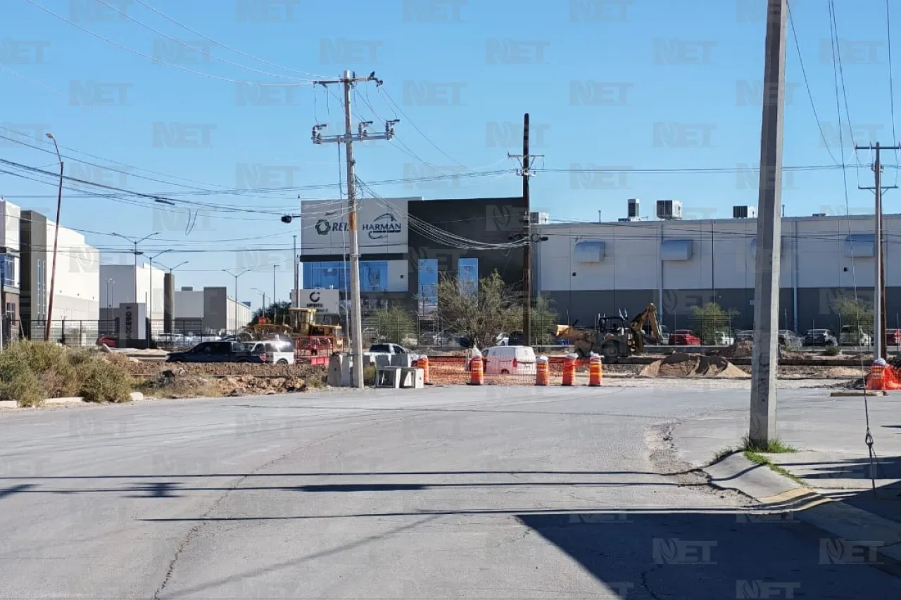 Jazmín Ibarra Trejo