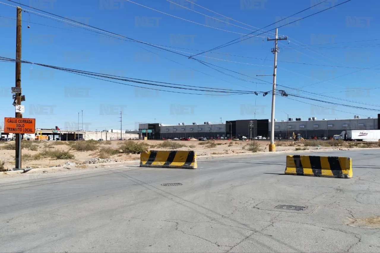 Jazmín Ibarra Trejo