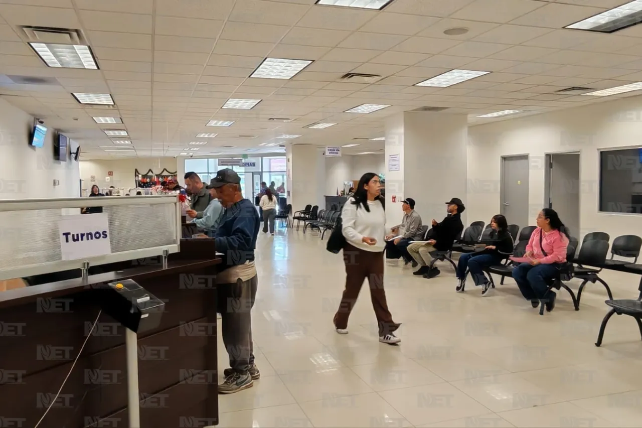 Jazmín Ibarra Trejo