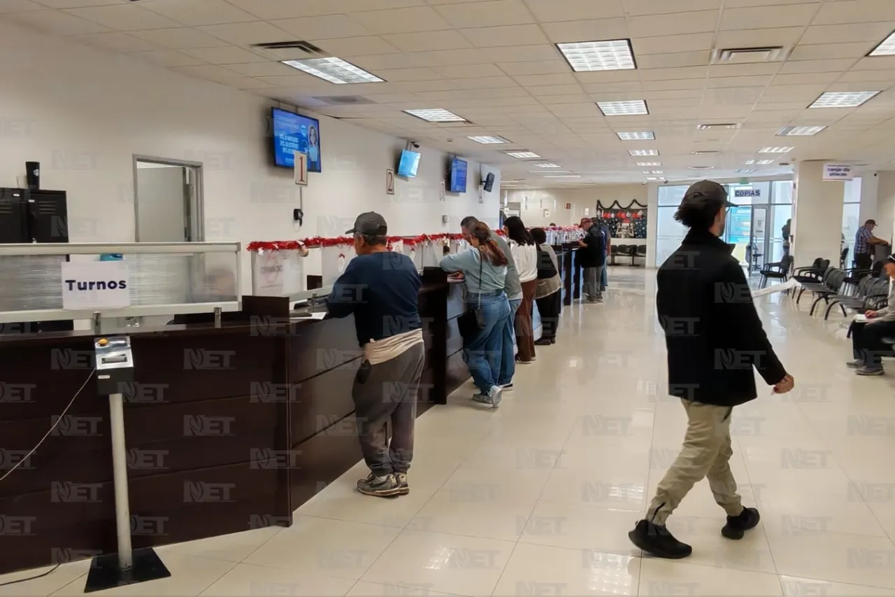 Jazmín Ibarra Trejo