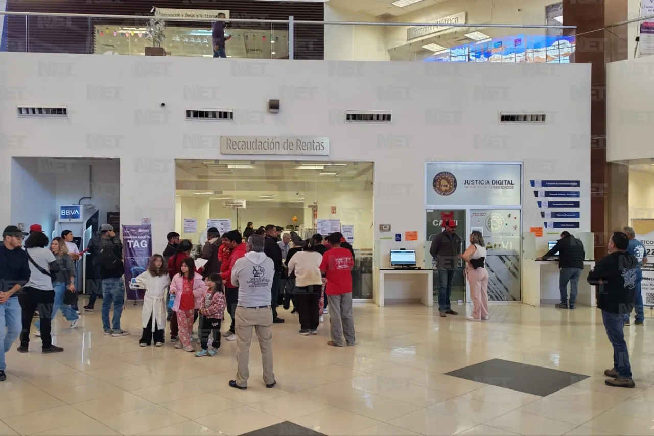 Jazmín Ibarra Trejo