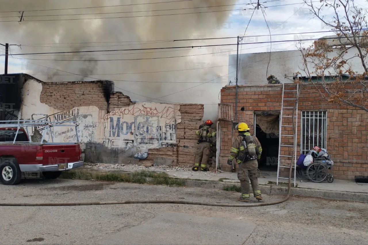 Jazmín Ibarra Trejo