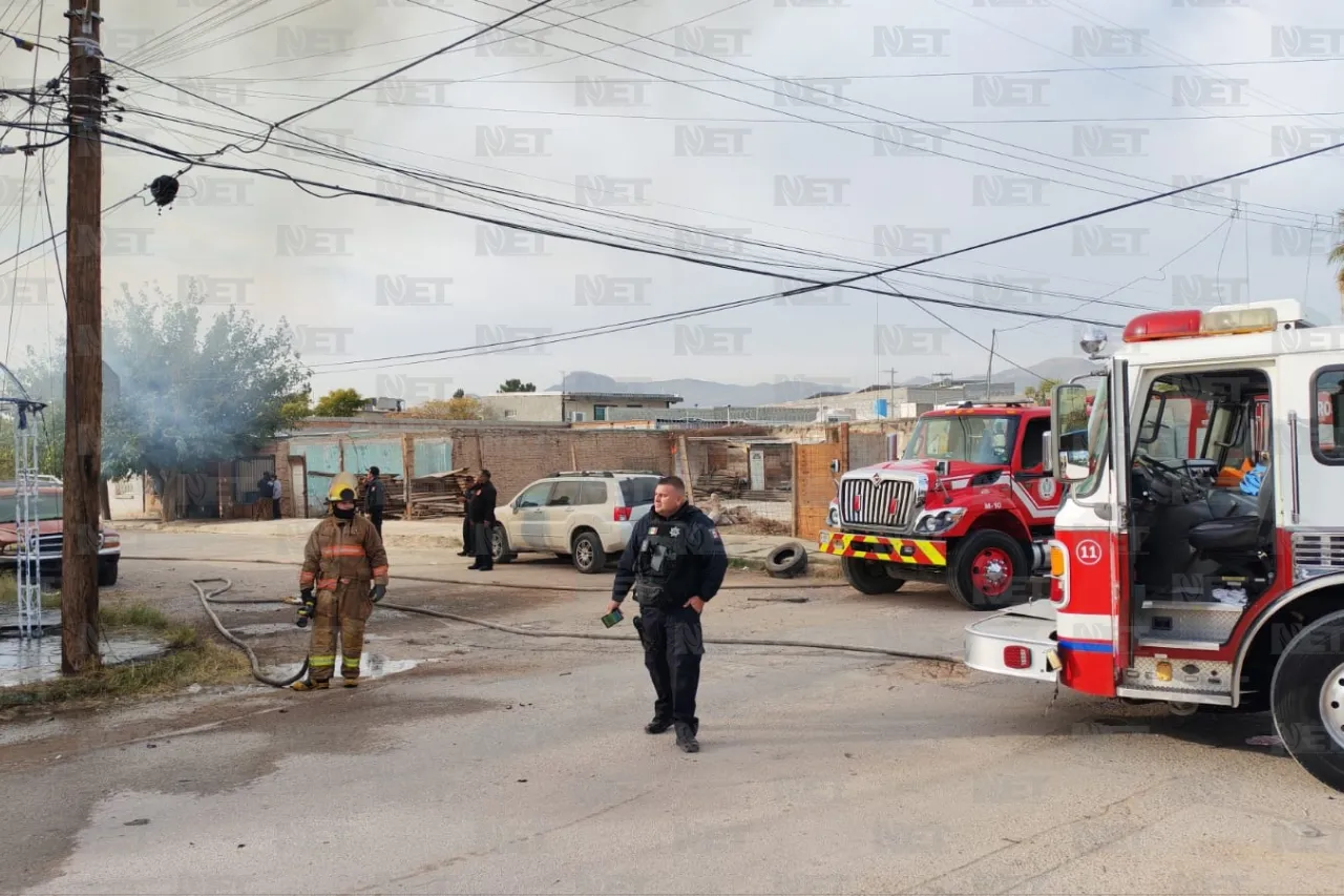 Jazmín Ibarra Trejo