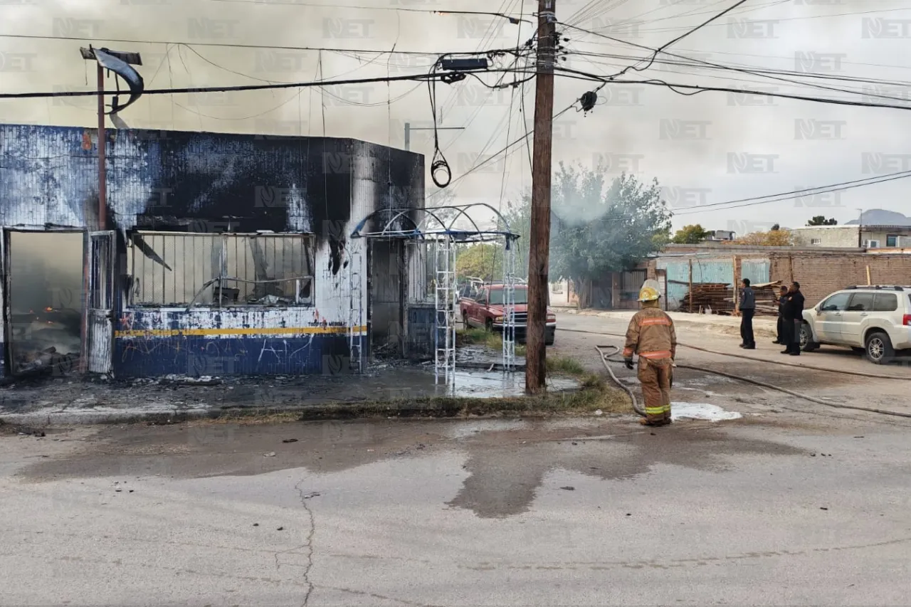 Jazmín Ibarra Trejo