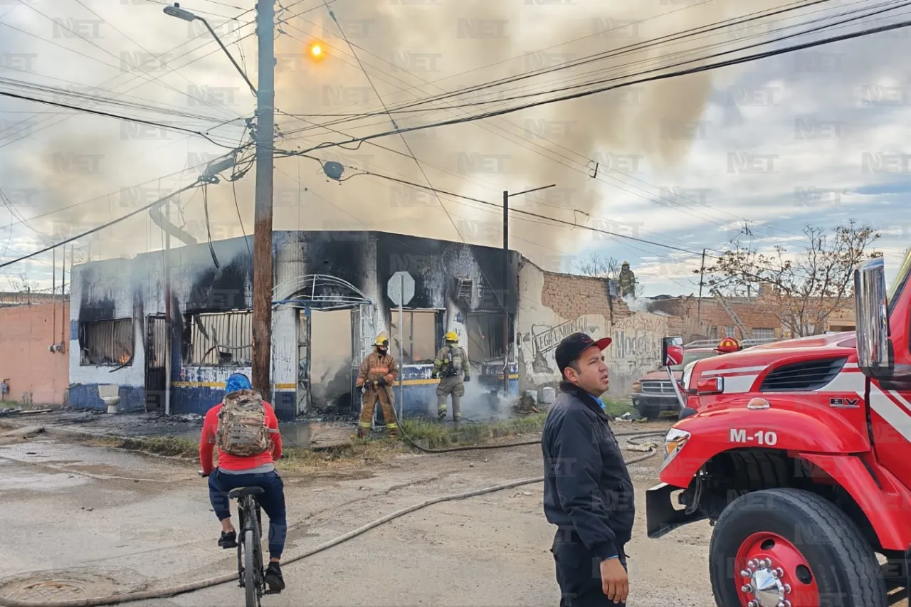 Jazmín Ibarra Trejo