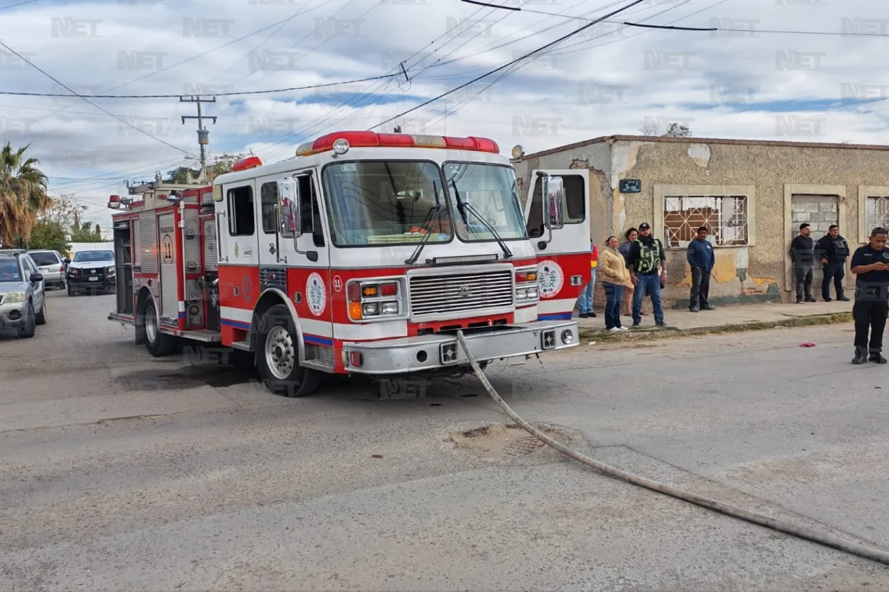 Jazmín Ibarra Trejo