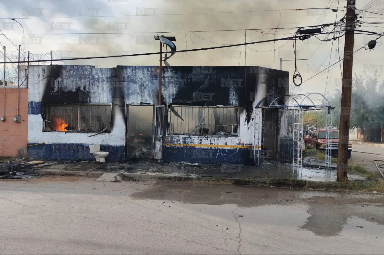 Jazmín Ibarra Trejo