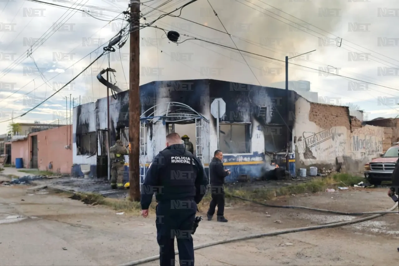 Jazmín Ibarra Trejo