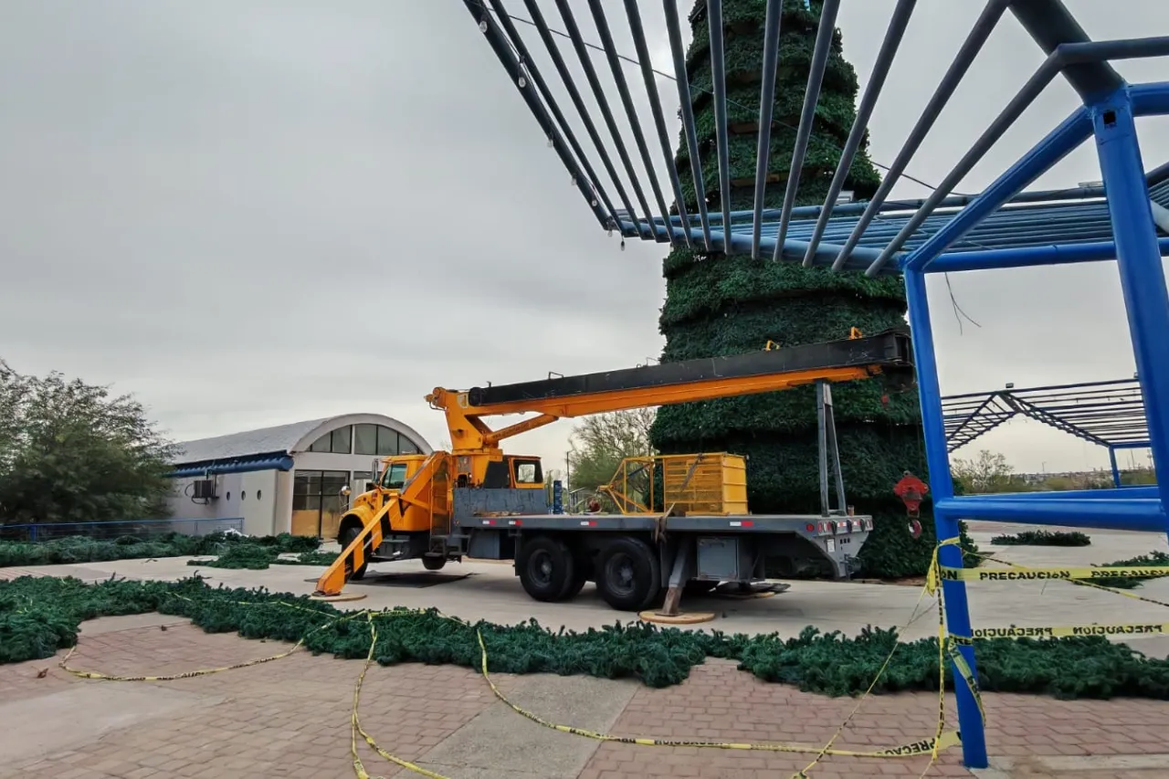 Jazmín Ibarra Trejo