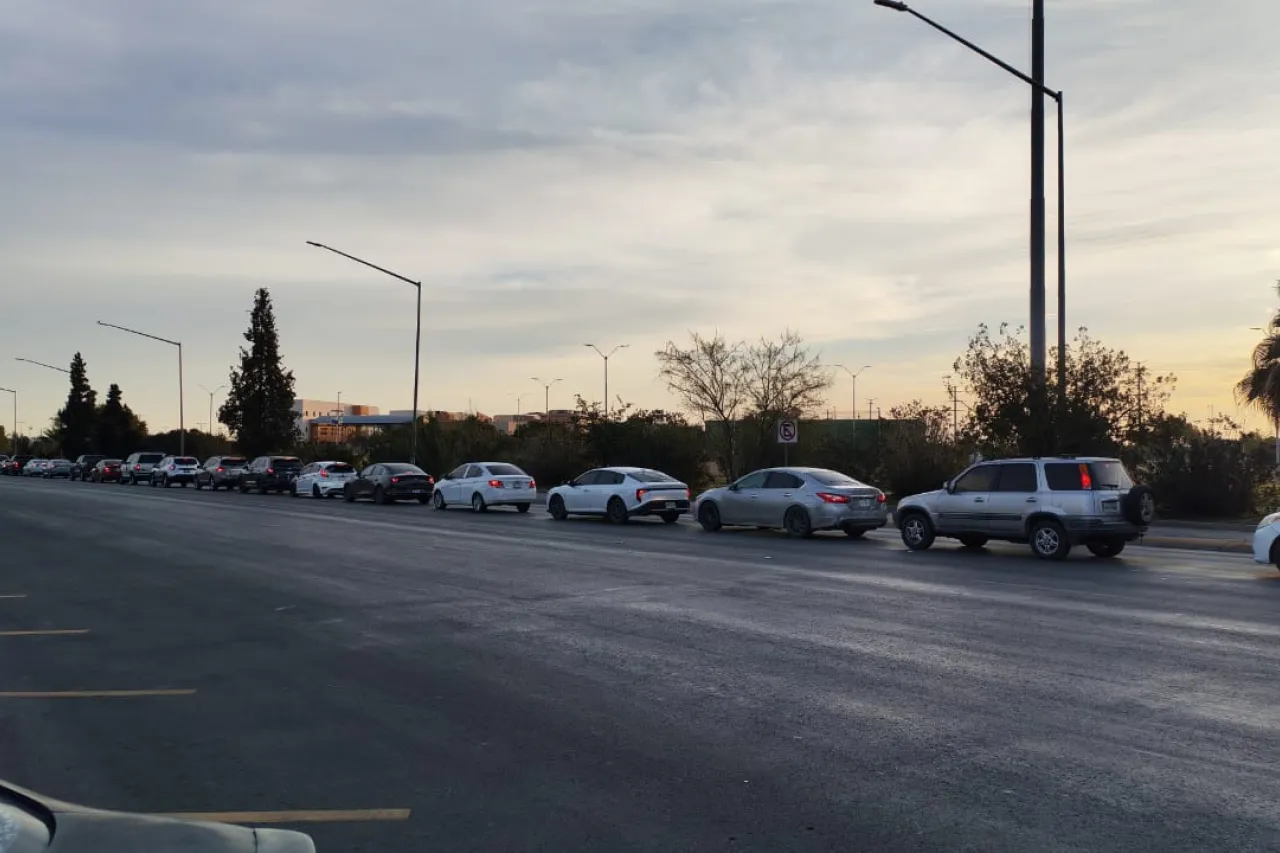 Jazmín Ibarra Trejo