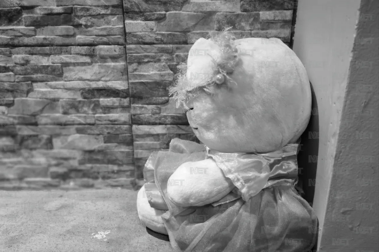 Jazmín Ibarra Trejo