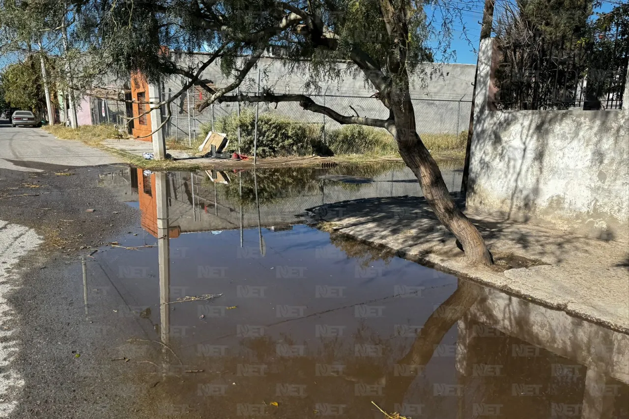 Carlos Sánchez Colunga