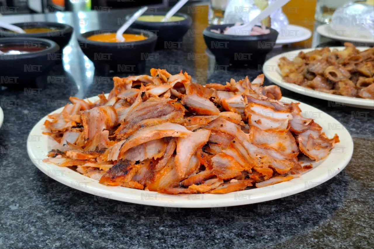 Jazmín Ibarra Trejo