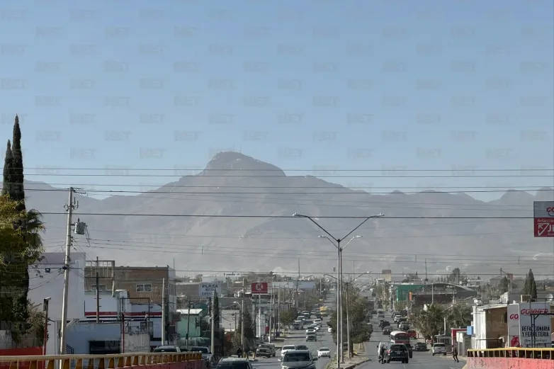 Virus, bacterias y hasta pedazos de insectos: lo que respiramos en invierno