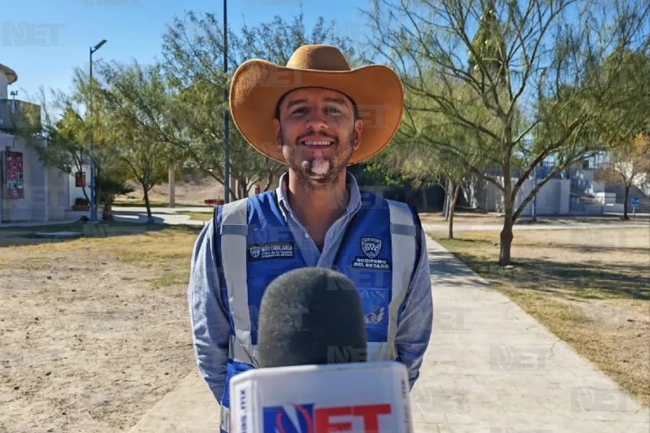 Jazmín Ibarra Trejo