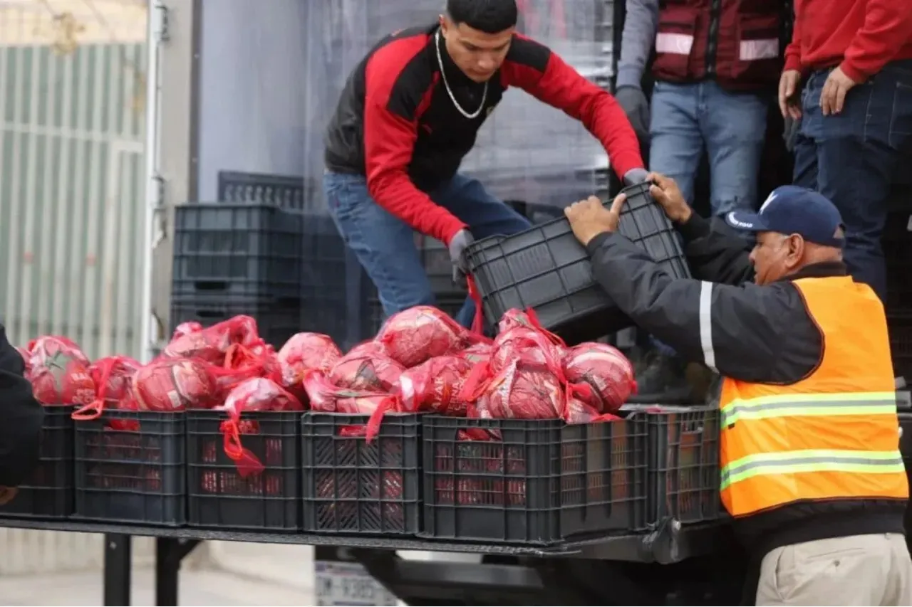 Iniciará entrega de piernas de puerco la próxima semana