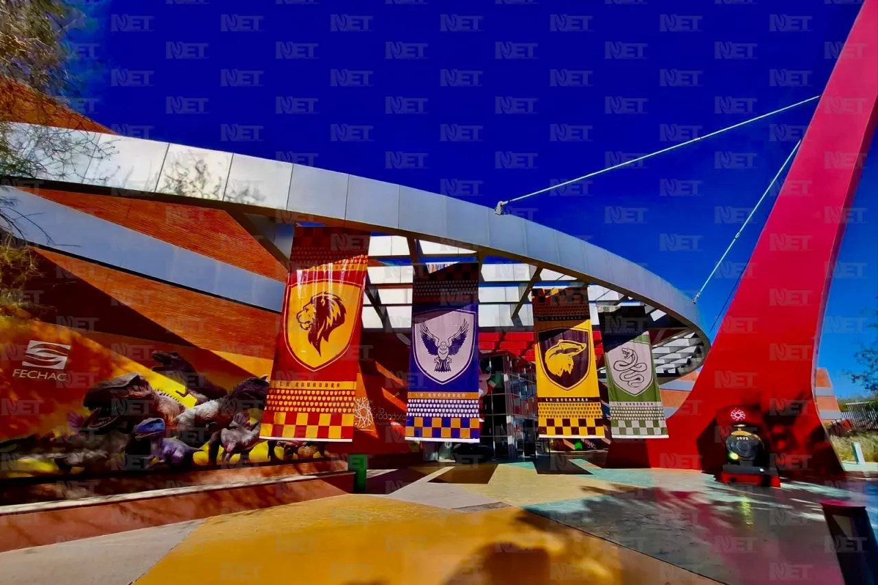 Disfruta de ‘Un día mágico en el museo’ al estilo Harry Potter