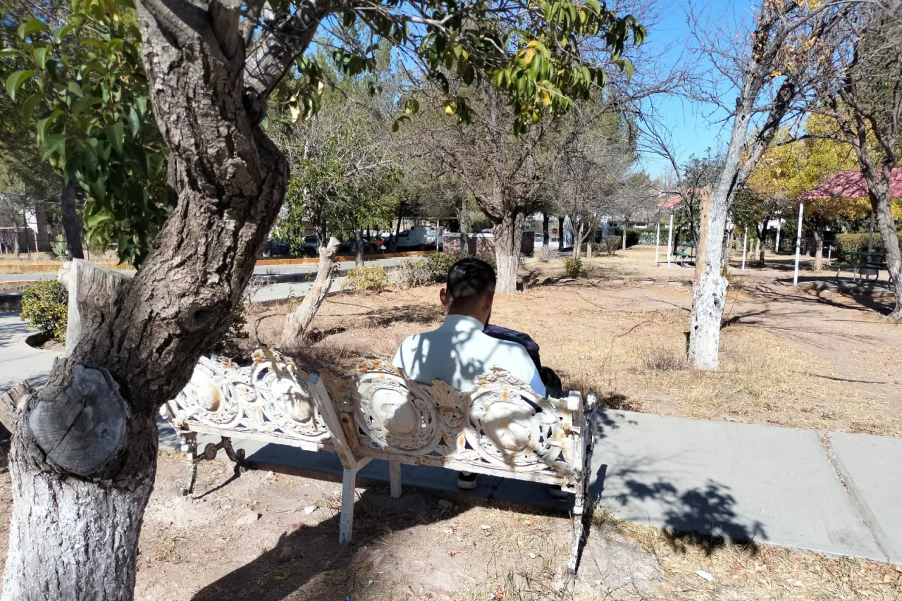 Evita la depresión decembrina con consejos de la Secretaría de Salud