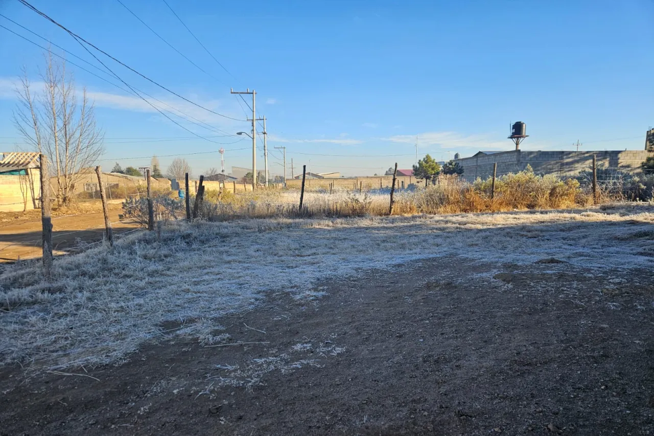 Heladas afectan gran parte del estado, reporta CEPC