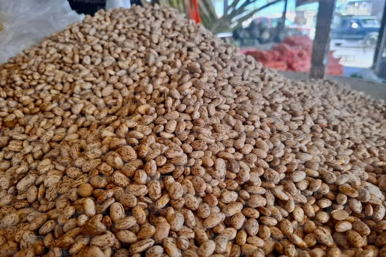 Productores venden frijol a 20 pesos en 27 centros comunitarios