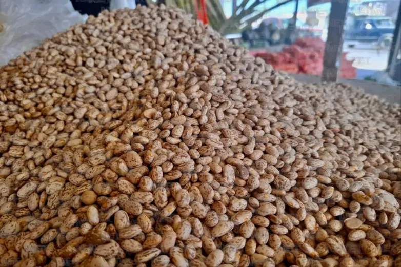 Productores venden frijol a 20 pesos en 27 centros comunitarios
