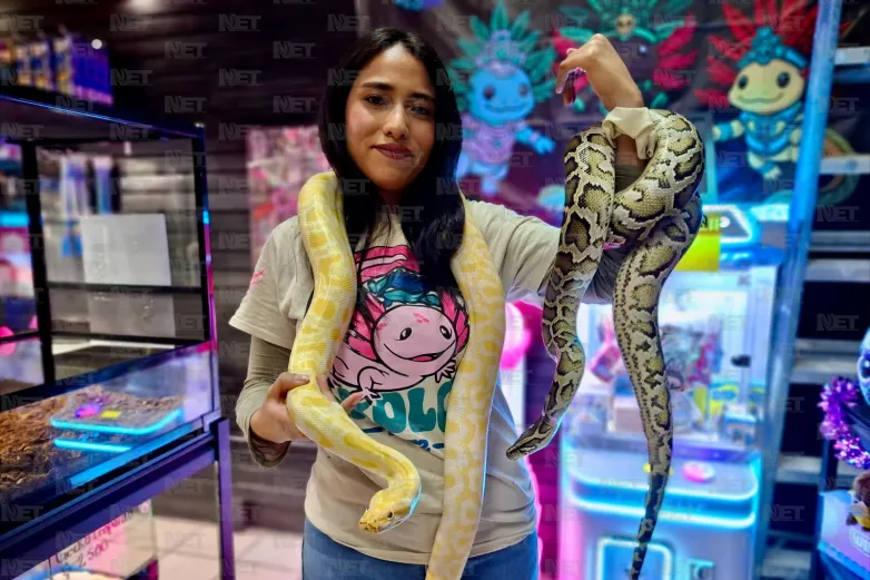 Campaña solidaria con serpientes busca ayudar a niña juarense