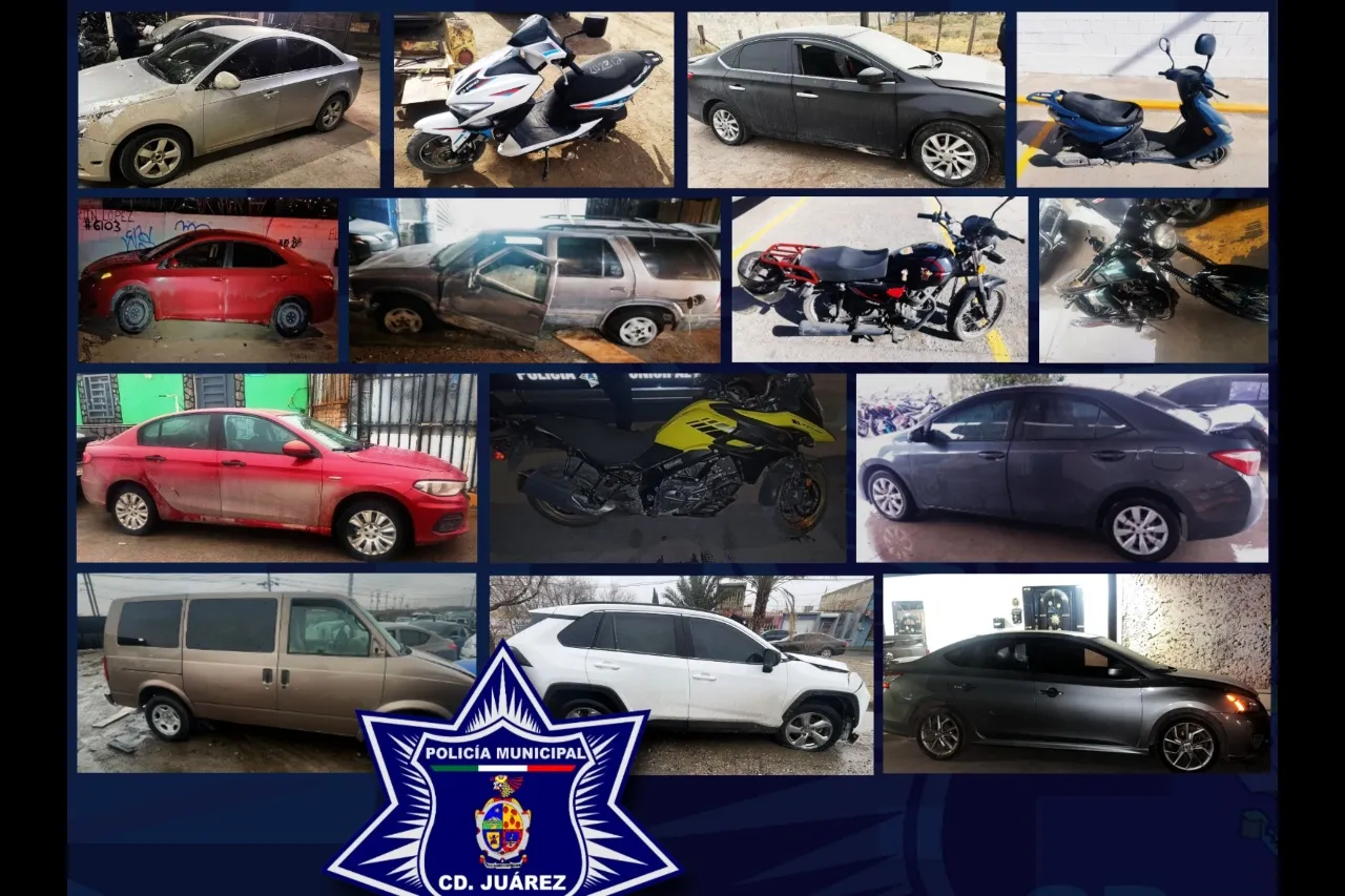 Juárez: Policía Municipal recupera 14 vehículos con reporte de robo