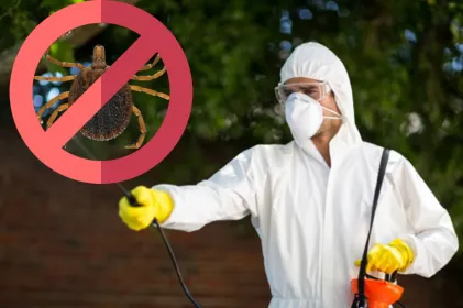 Preparan fumigación masiva contra garrapatas en parques del área Valle del Sol