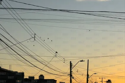 Persisten vientos en Juárez y provocan mañana fría