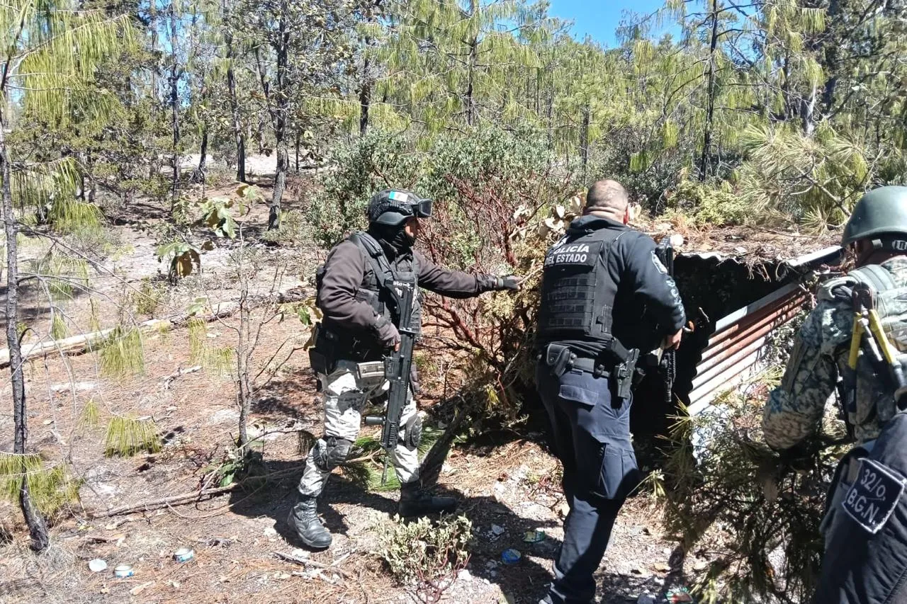 Desmantelan campamento criminal en Guadalupe y Calvo