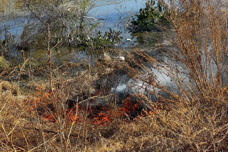 Se incendia maleza en río Bravo cerca del puente Zaragoza