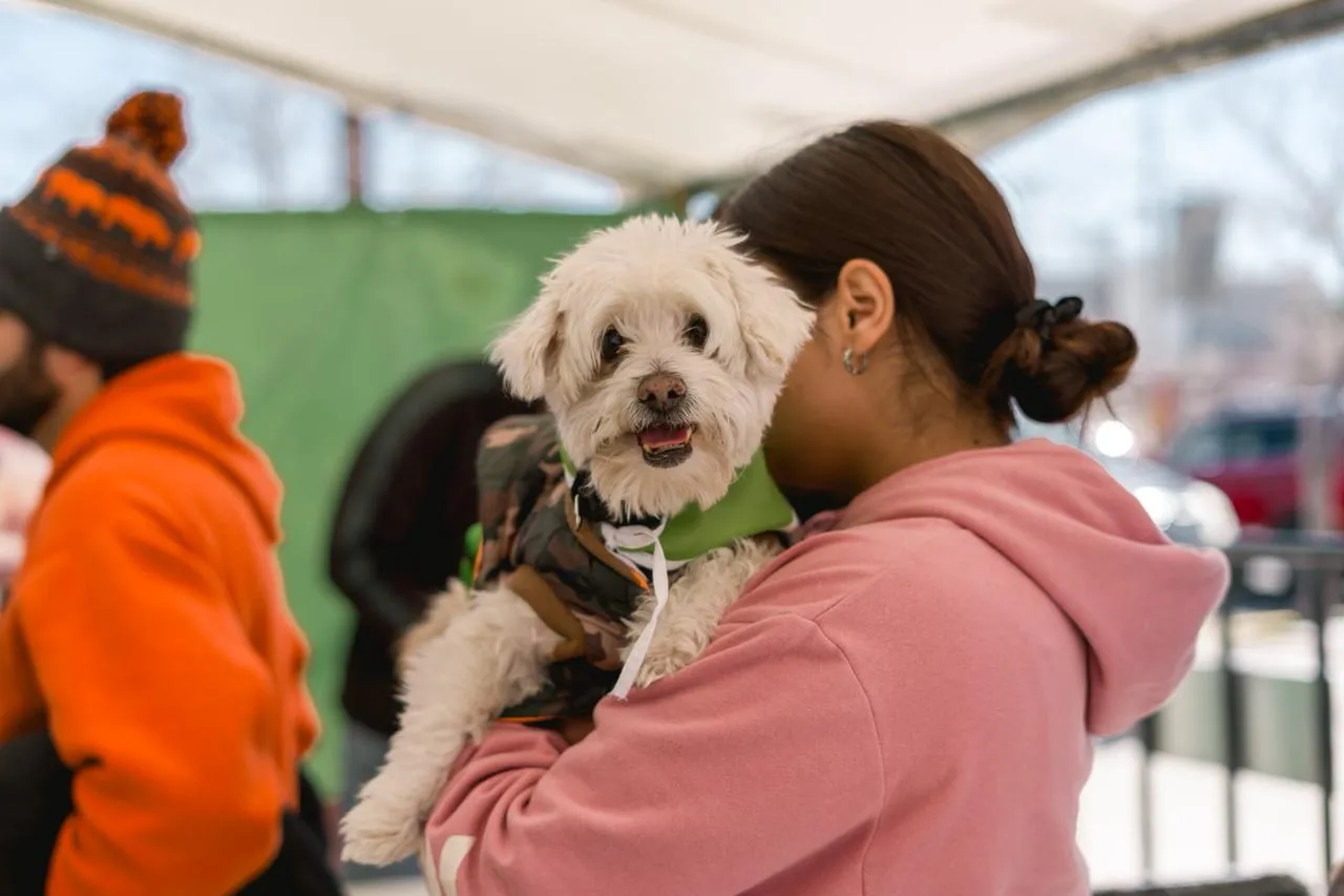 Aplican más de mil vacunas a perros en Fovissste Chamizal
