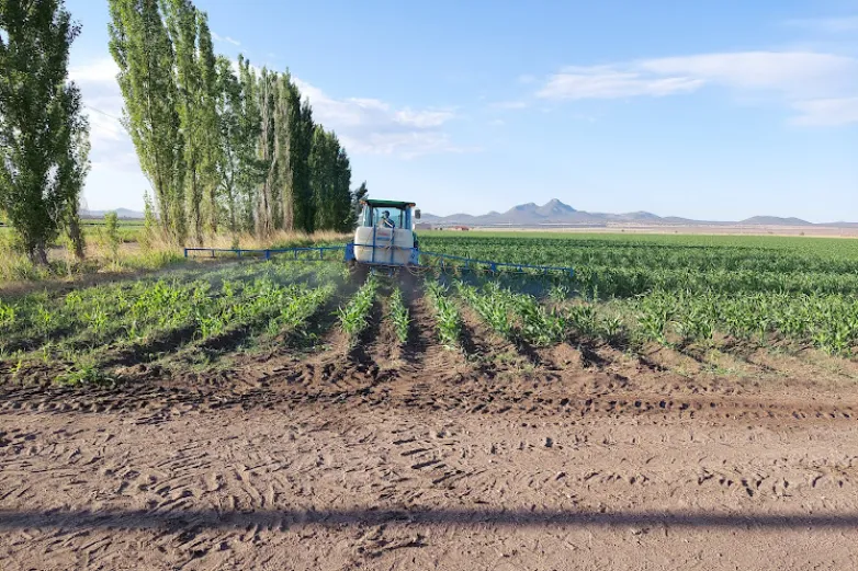 Ofrecen créditos de hasta 315 mil pesos a productores chihuahuenses