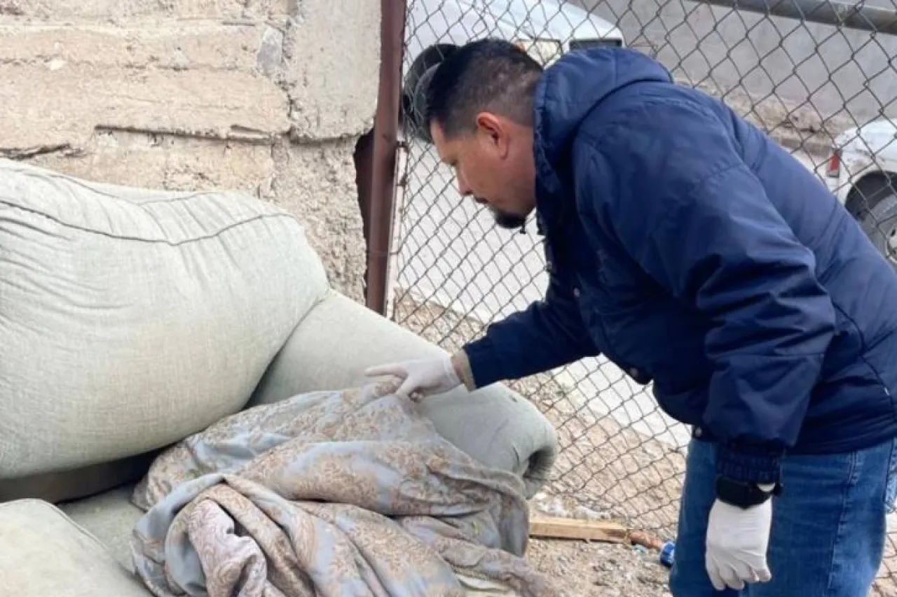 Refuerza Chihuahua prevención de rickettsiosis ante aumento de casos