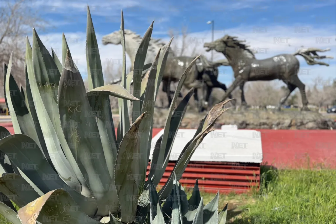 Tiene Juárez clima ideal para actividades al aire libre