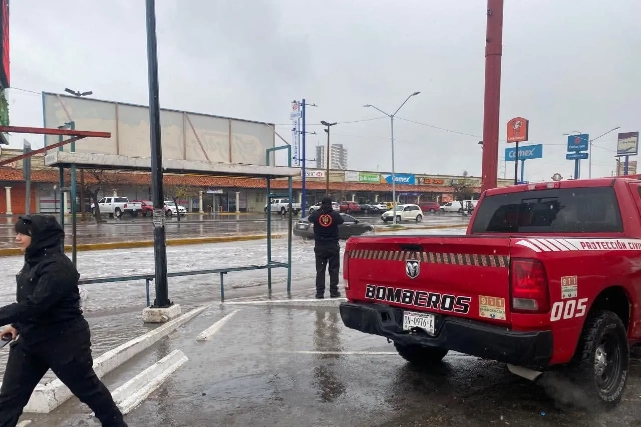 Conmemoran el Día Internacional de la Protección Civil este 1 de marzo