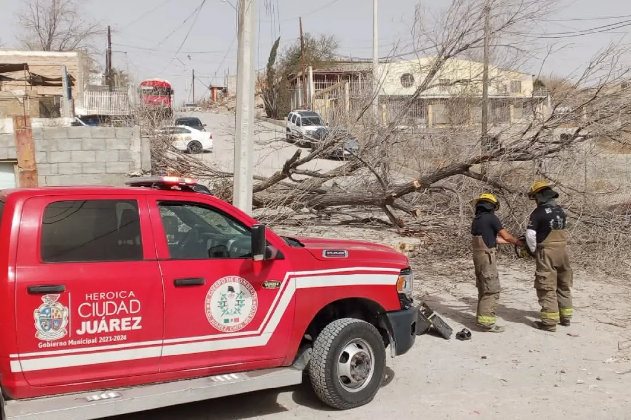 Reporta Protección Civil saldo blanco tras 47 emergencias