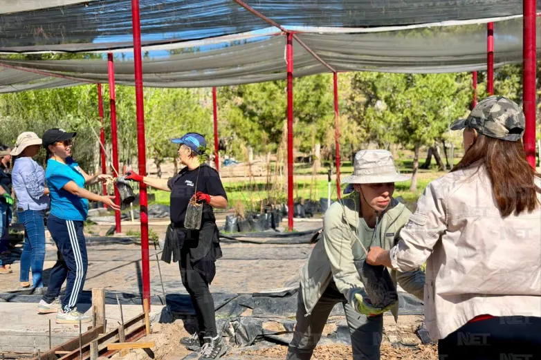 Busca vivero municipal voluntarios para producir y donar árboles