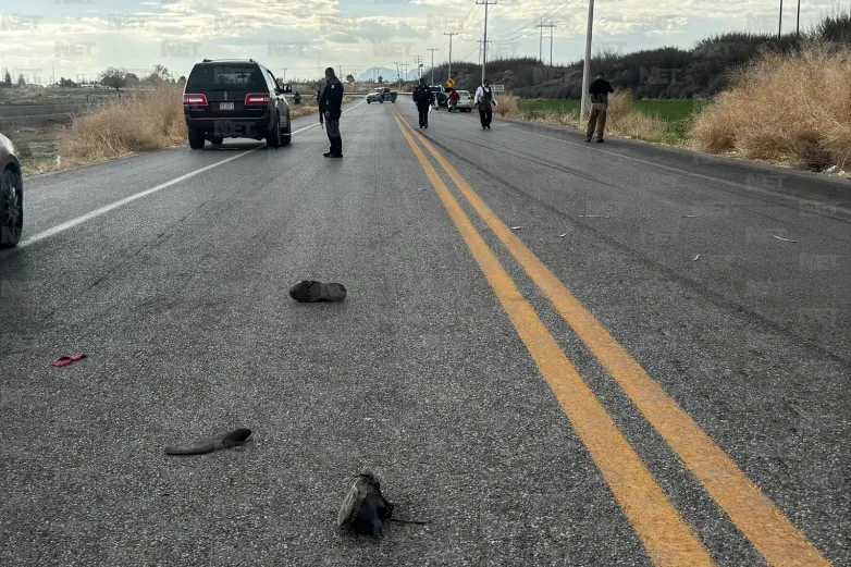 Fallece adulto mayor tras ser atropellado en el Valle de Juárez
