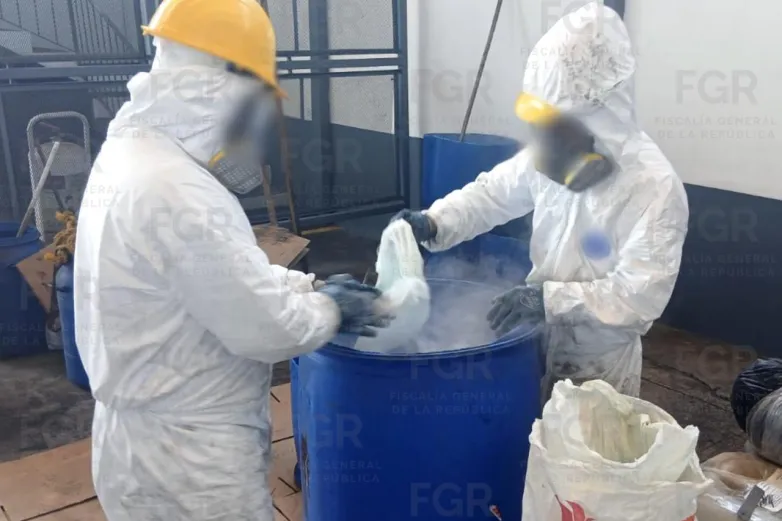 Destruyen fuerzas federales narcolaboratorios en Sinaloa y Michoacán