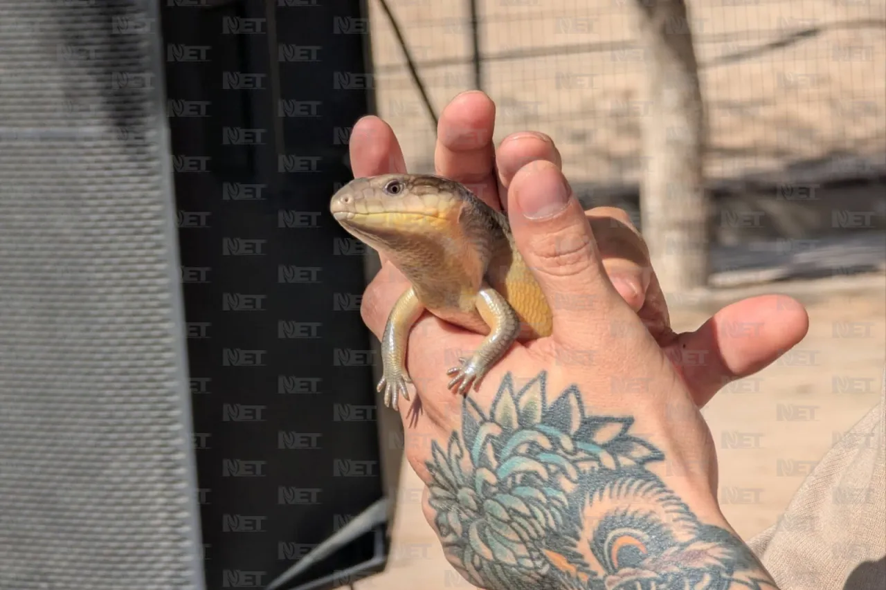 Inicia Parque Central visitas guiadas para educación ambiental