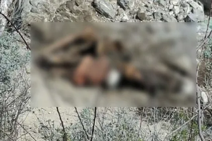 Hallazgo de restos moviliza a las autoridades en el Camino Real