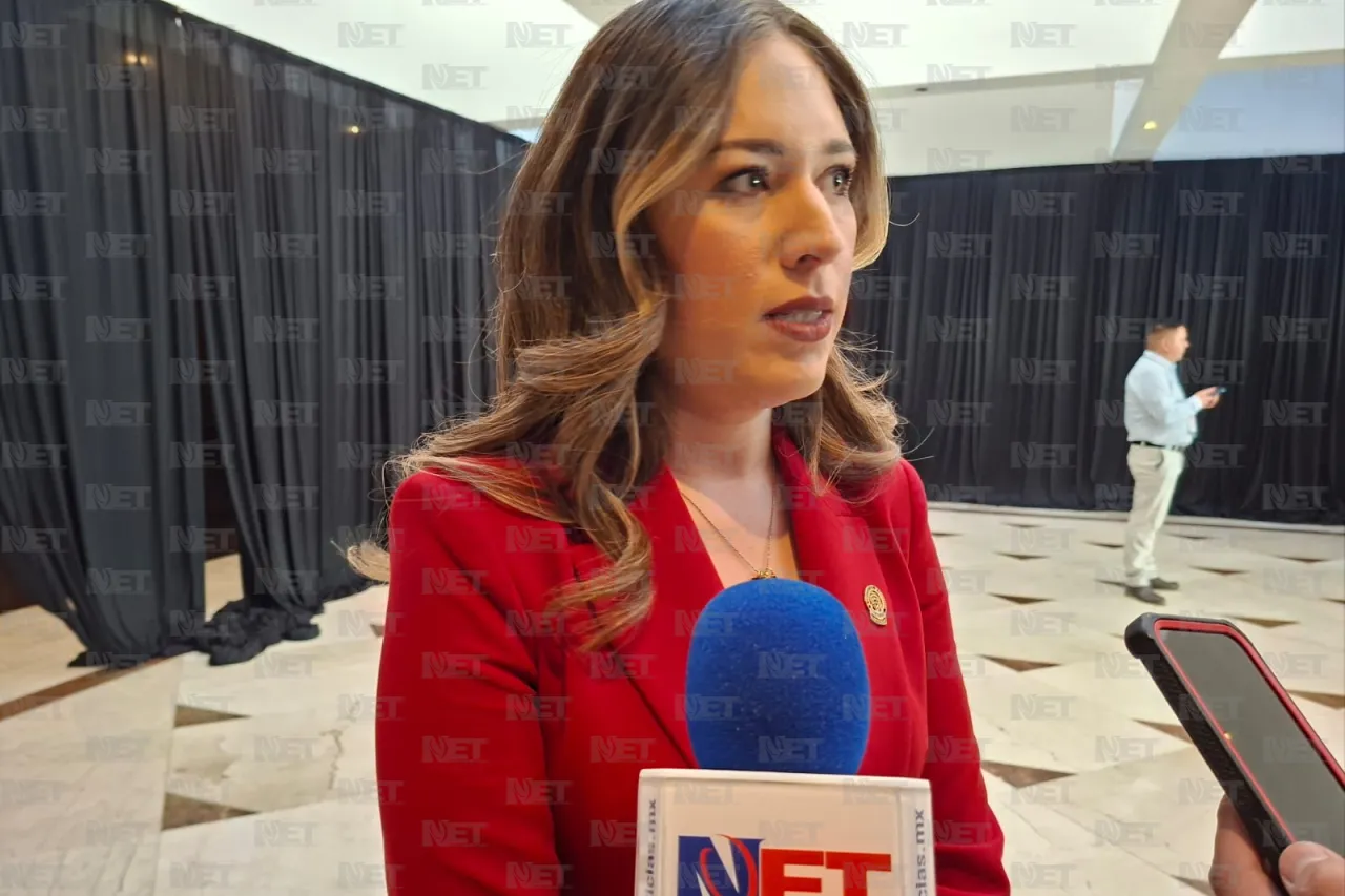 Pide diputada atender desplazamiento de familias en Guadalupe y Calvo