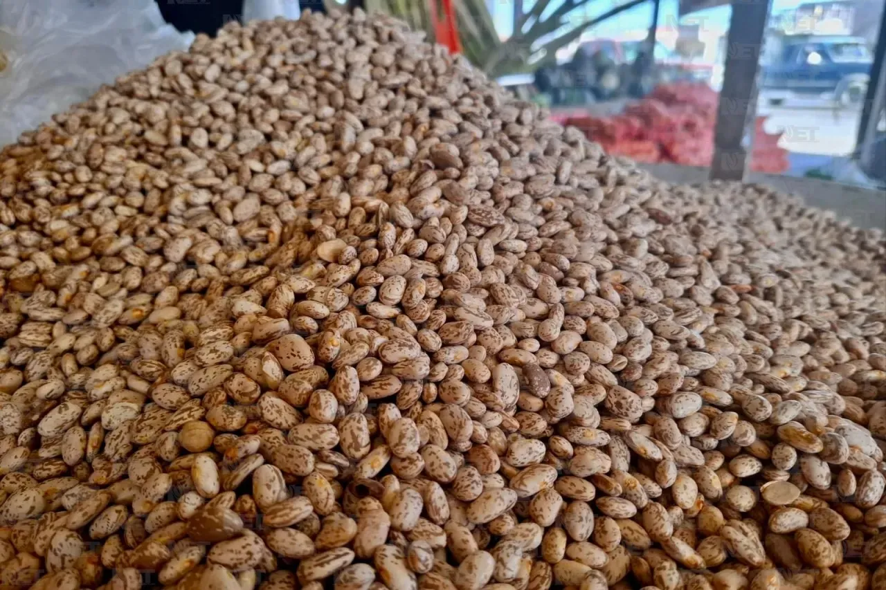 Llaman Canacintra a empresarios a comprar frijol chihuahuense