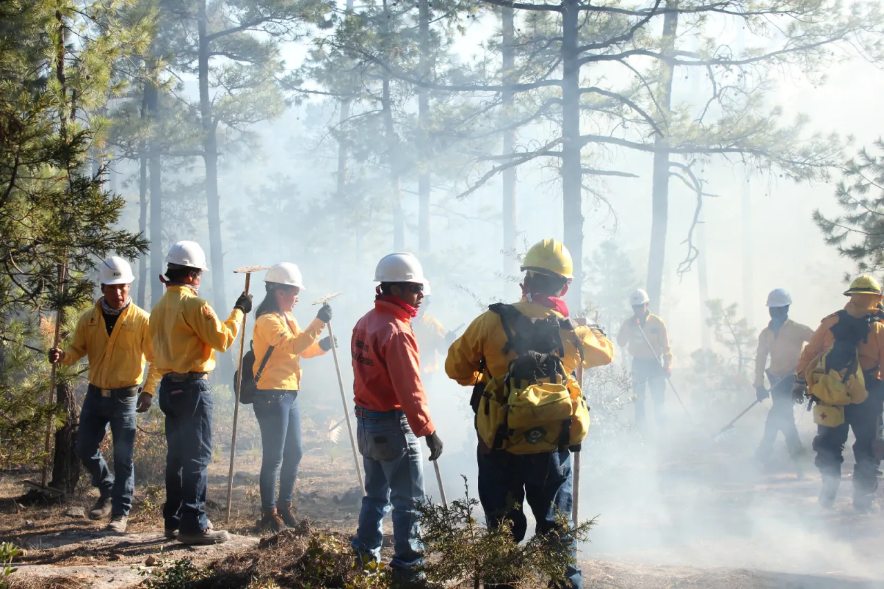 Mantienen controlados seis incendios forestales en la sierra de Chihuahua