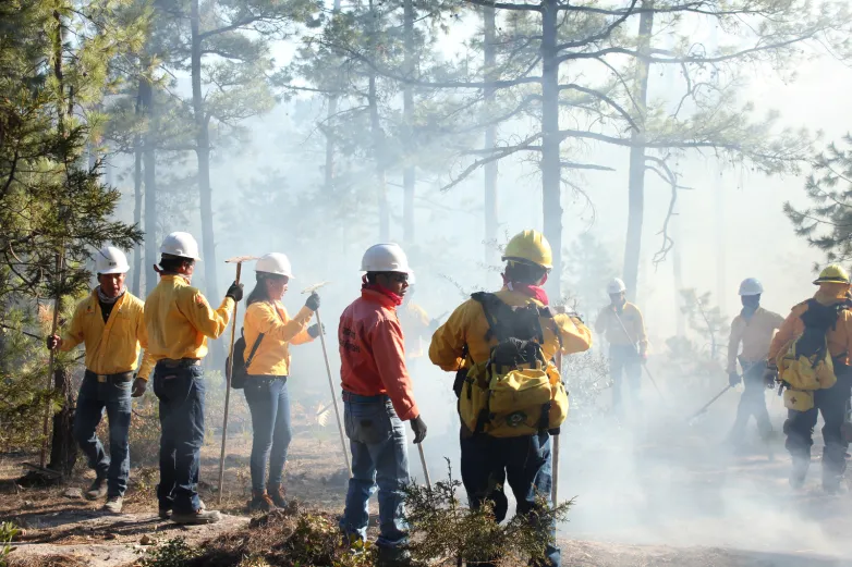 Mantienen controlados seis incendios forestales en la sierra de Chihuahua