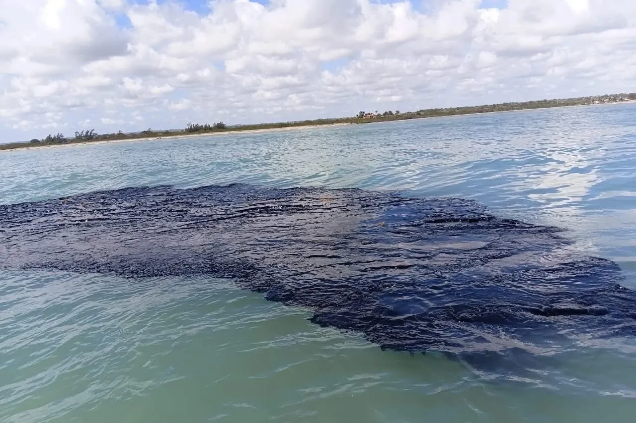 Despide Pemex a tres funcionarios tras derrame en Golfo de México